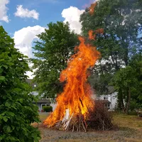 20190621_170333.jpg