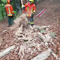 einsatz_3004_1.jpg