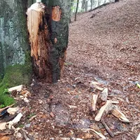 einsatz_3004_3.jpg